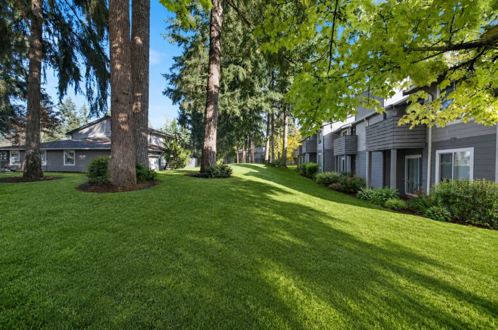 Wooded greenspace on the Sherwood Glen property